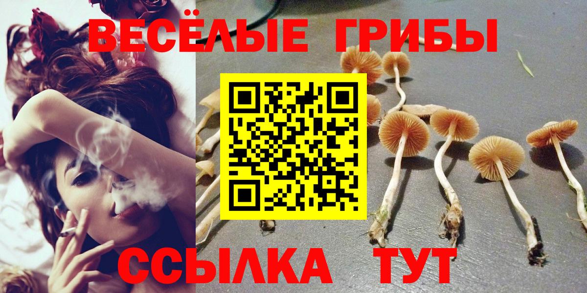 Галлюциногенные грибы Cubensis  Вход с VPN  Кумертау 