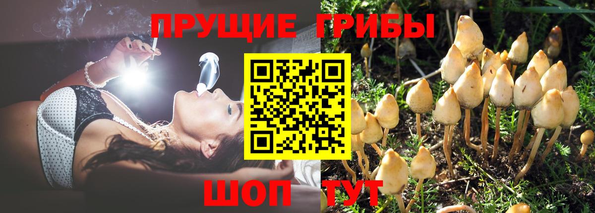 Галлюциногенные грибы GOLDEN TEACHER Кумертау